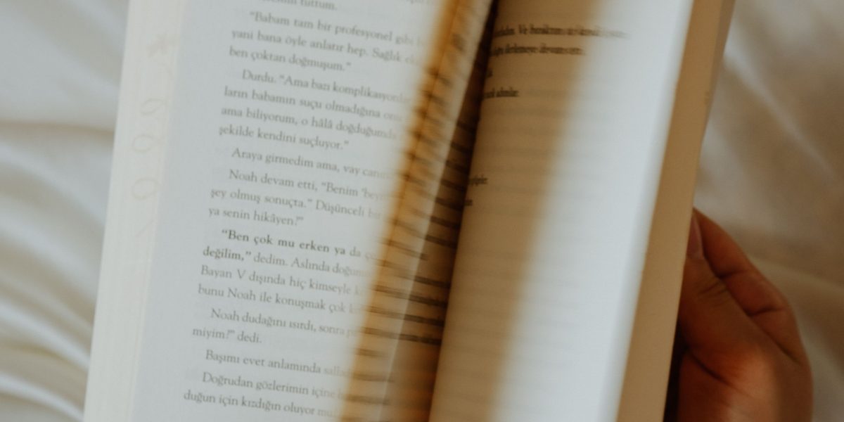 Explore the Onyx Storm Book A Deep Dive into Its World