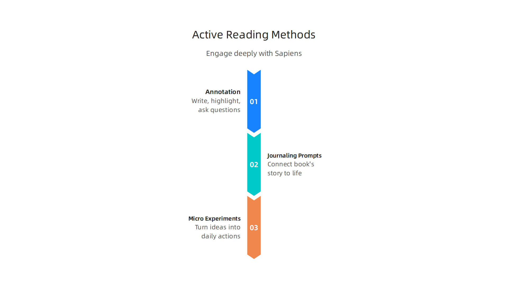 Engage deeply with Sapiens using these practical active reading techniques.